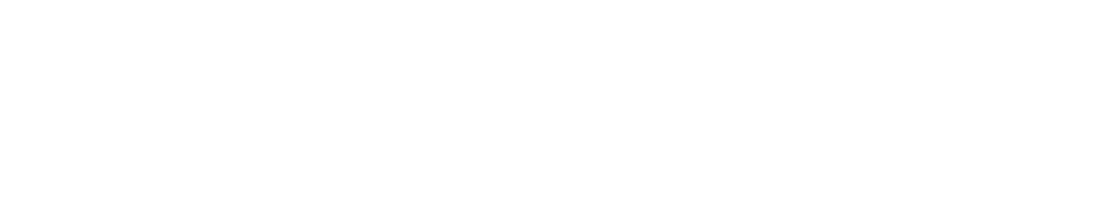 logo safion blank white