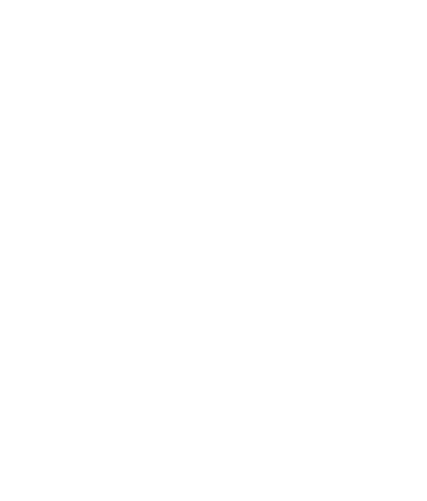 cabinet outline neg